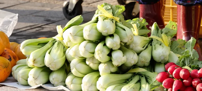 能登地区イメージ